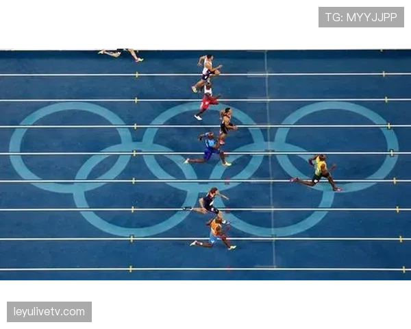 体育数字资产多格式输出支持，增强兼容性